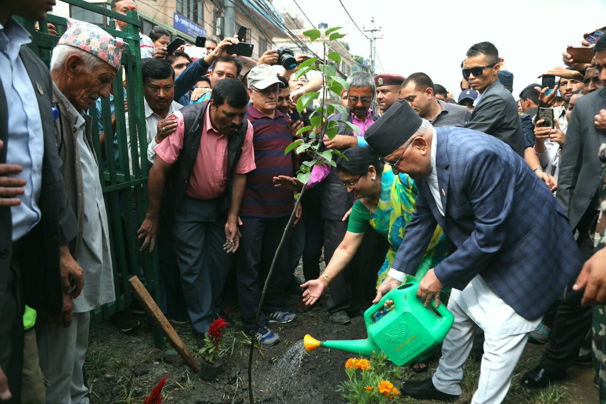 प्रम ओलीद्धारा नासपतीको विरुवा रोपेर बृक्षारोपणको शुभारम्भ