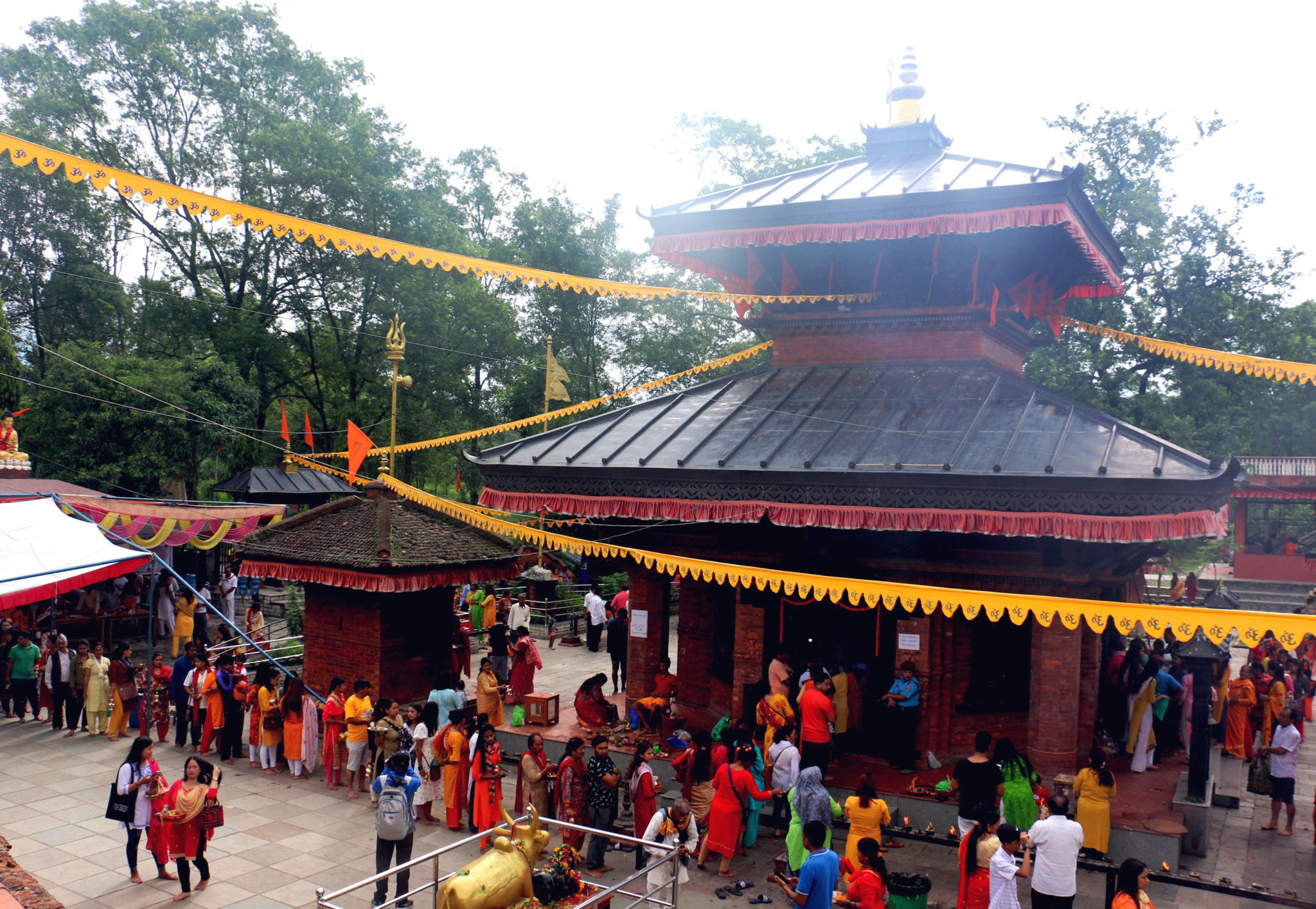 चितुवाको आक्रमणबाट बालक घाइते