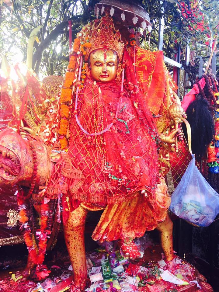 पाथीभरा देवीको दर्शन गर्न पैदलयात्रा