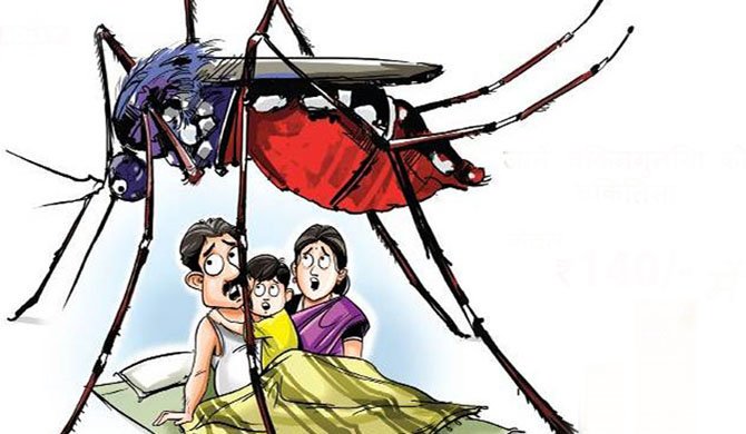 डेङ्गुबाट चारको मृत्यु