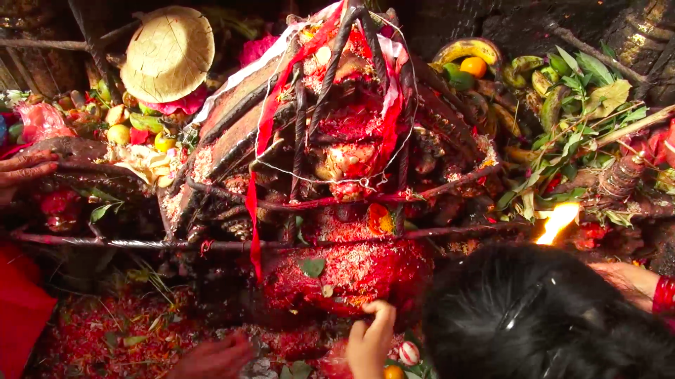 दसैं महानवमी: दुर्गाभवानीको पूजा–आराधना