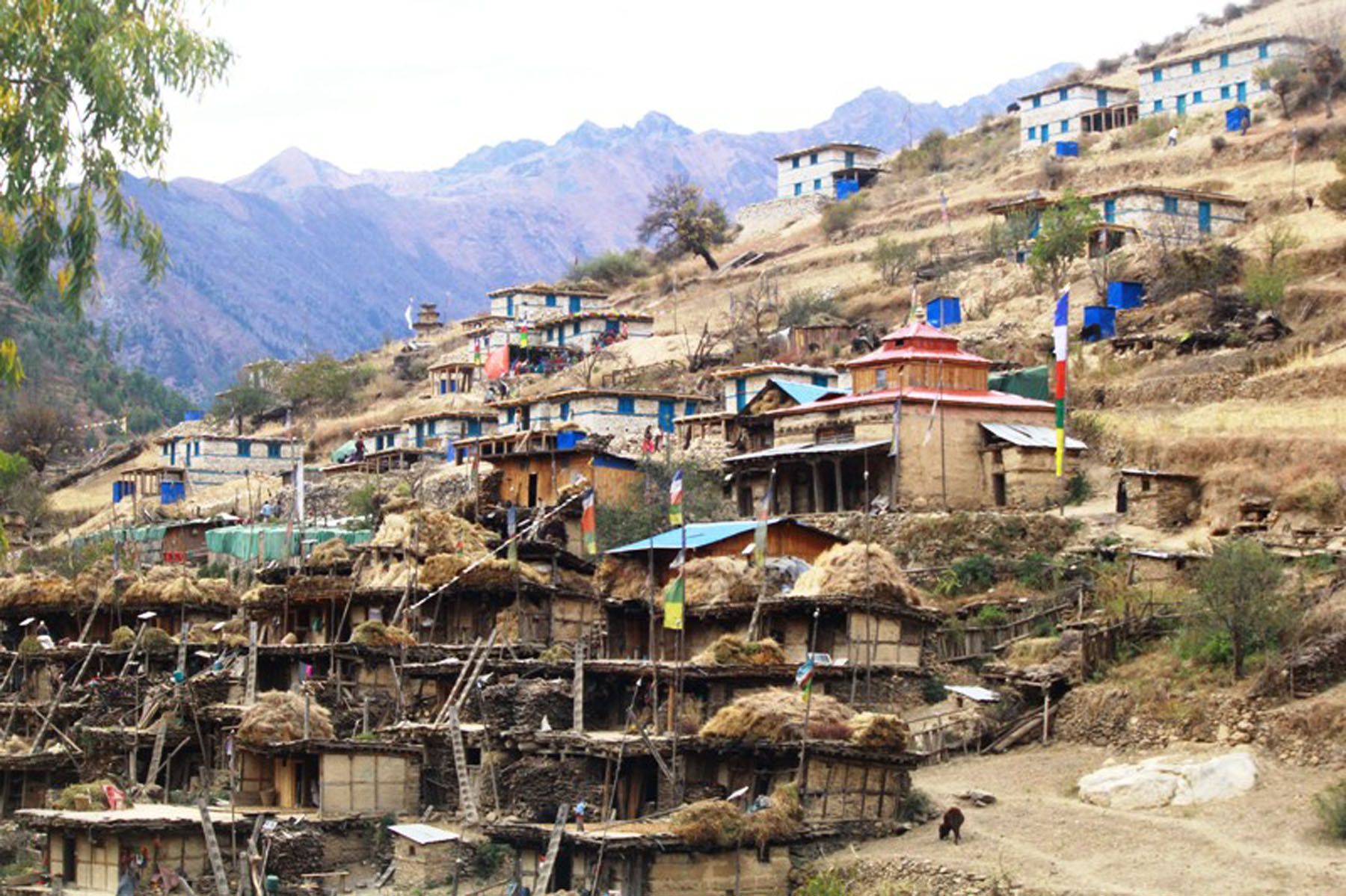 नयाँघर पाउँदा आगलागी पीडित हर्षित