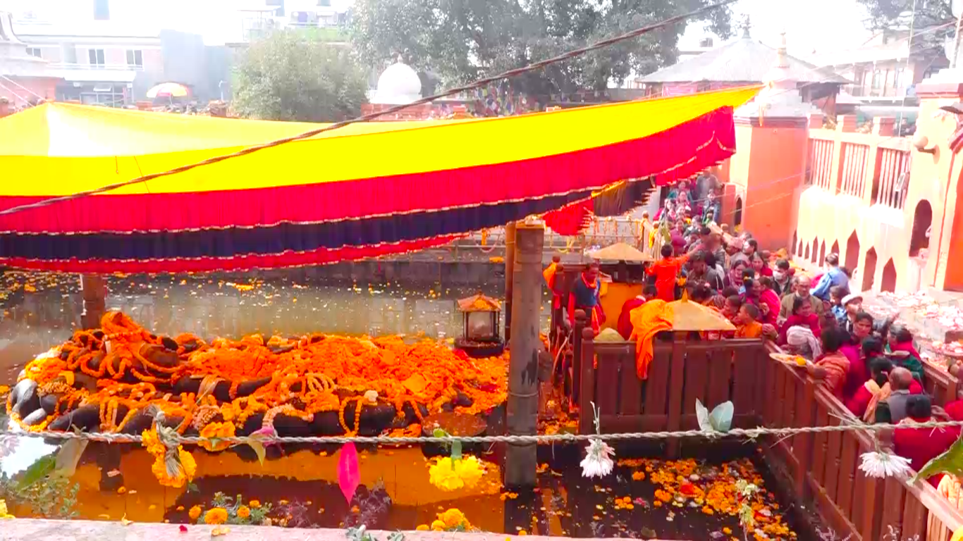 हरिबोधनी एकादशी: विष्णु-तुलसीको बिहे