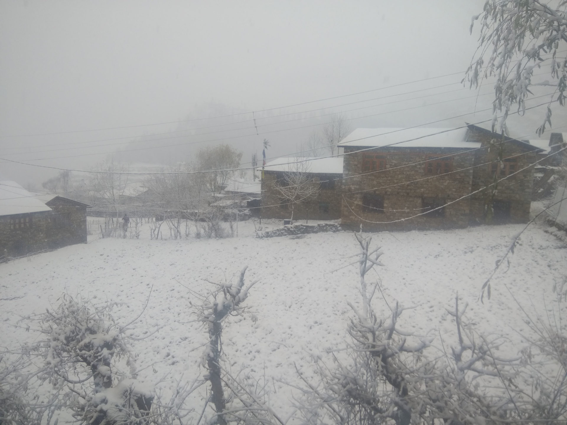 हुम्लामा फेरि हिमपात, हवाई सेवा अवरुद्ध, जनजीवन प्रभावित