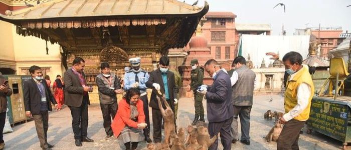 विश्व सम्पदा क्षेत्रमा रहेका पशुपन्छीलाई खाना खुवाउने अभियान सञ्चालन