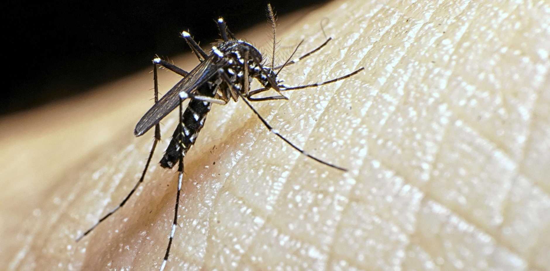 वर्षायामसँगै डेङ्गुको सङ्क्रमण बढ्ने सम्भावना