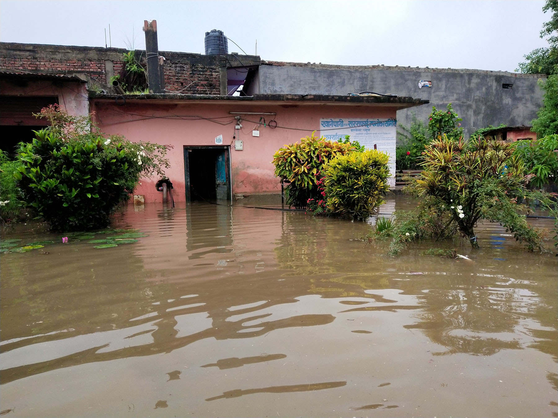 अविरल वर्षाले धनुषा प्रभावित