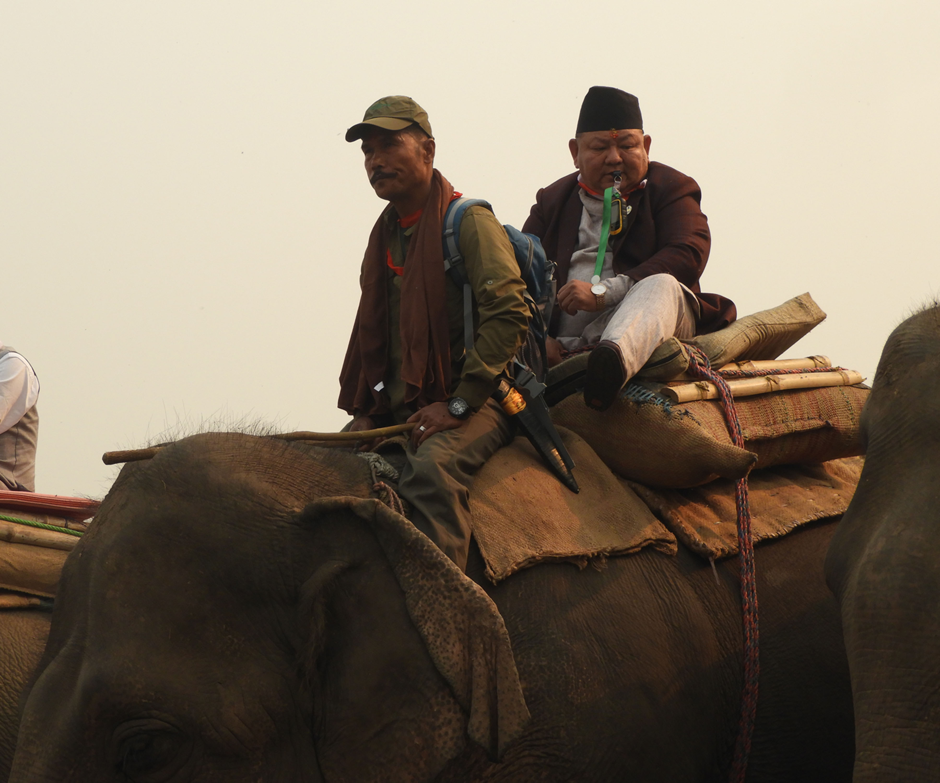 नेपाललाई गैँडाको देश भनेर चिनाउन सकिने’