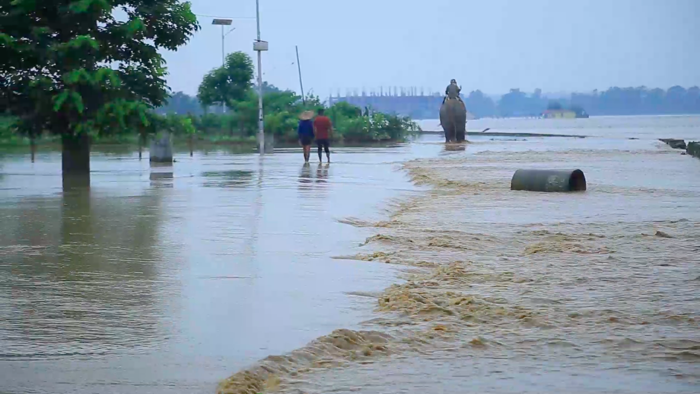 बर्षाले चितवन डुवानमा