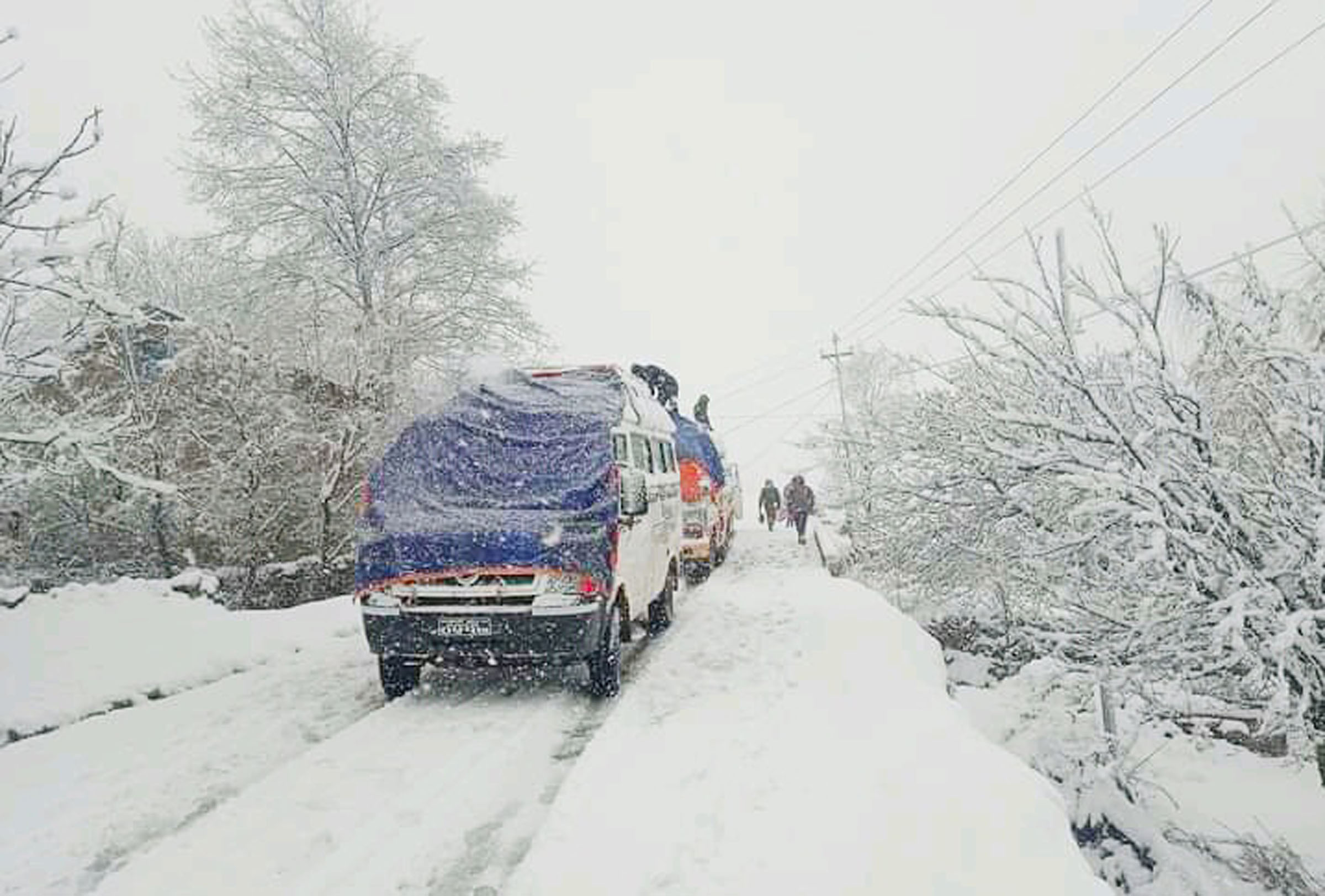 जुम्लामा तेस्रोपटक हिमपात: किसानमा छायो खुसी