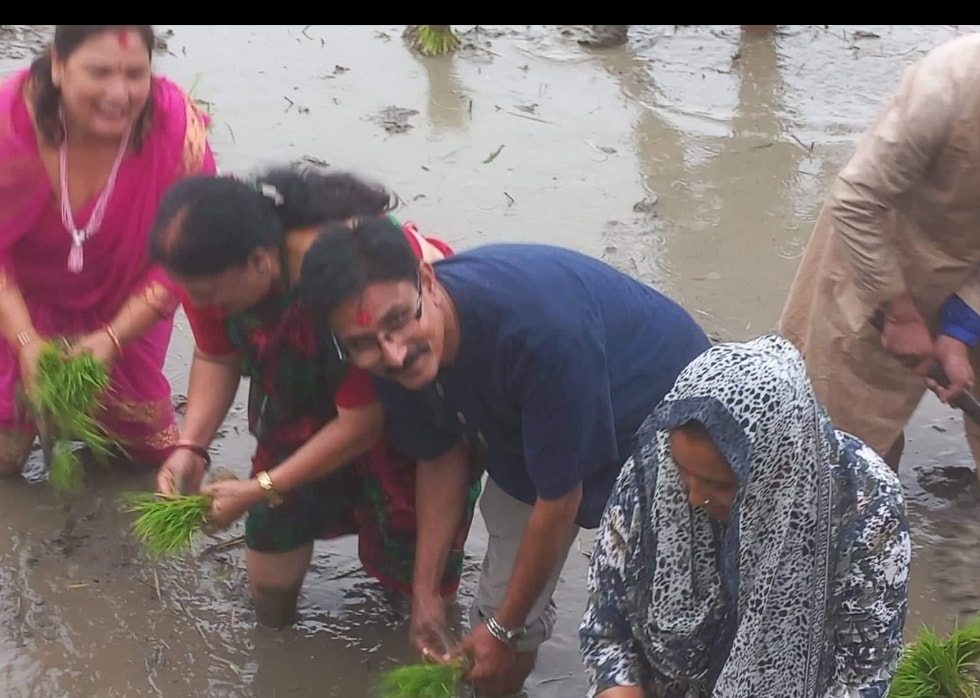 किसान संघको आयोजनामा भक्तपुरमा धान दिवस मनाइयो